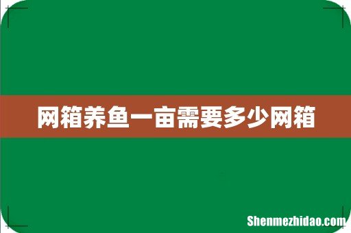 网箱养鱼一亩需要多少网箱