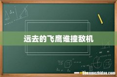 远去的飞鹰谁撞敌机