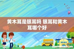 黄木耳是银耳吗 银耳和黄木耳哪个好