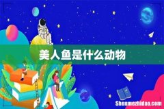 美人鱼是什么动物