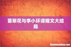 苗翠花与李小环谭耀文大结局