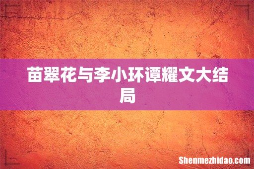 苗翠花与李小环谭耀文大结局