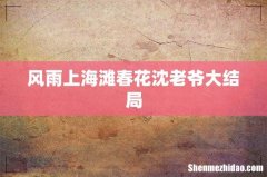 风雨上海滩春花沈老爷大结局