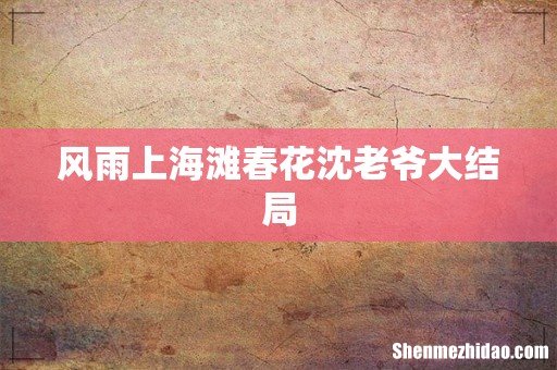 风雨上海滩春花沈老爷大结局