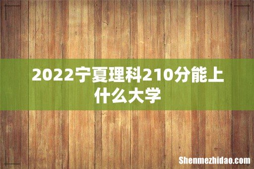 2022宁夏理科210分能上什么大学