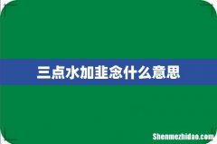 三点水加韭念什么意思