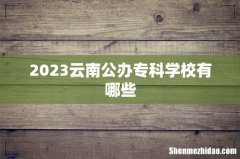 2023云南公办专科学校有哪些