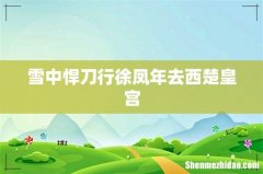 雪中悍刀行徐凤年去西楚皇宫