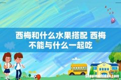 西梅和什么水果搭配 西梅不能与什么一起吃