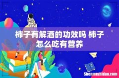 柿子有解酒的功效吗 柿子怎么吃有营养