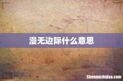漫无边际什么意思