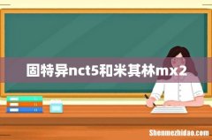 固特异nct5和米其林mx2