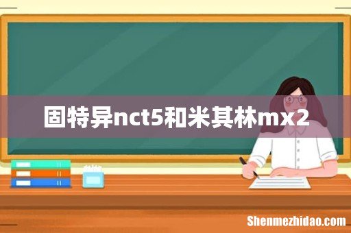 固特异nct5和米其林mx2