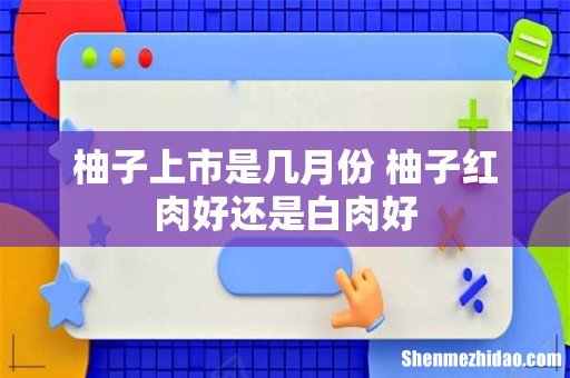 柚子上市是几月份 柚子红肉好还是白肉好