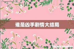 谁是凶手剧情大结局