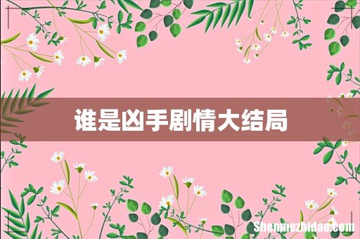 谁是凶手剧情大结局