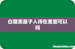 白醋熏屋子人待在里面可以吗