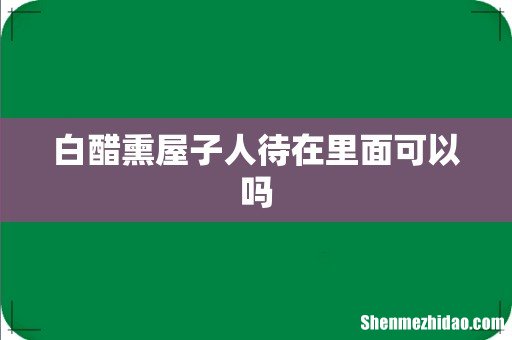 白醋熏屋子人待在里面可以吗