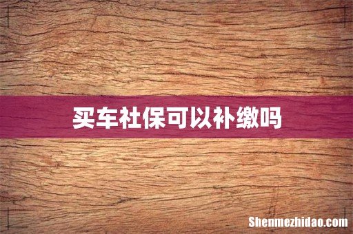 买车社保可以补缴吗