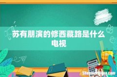 苏有朋演的修西藏路是什么电视