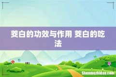 茭白的功效与作用 茭白的吃法
