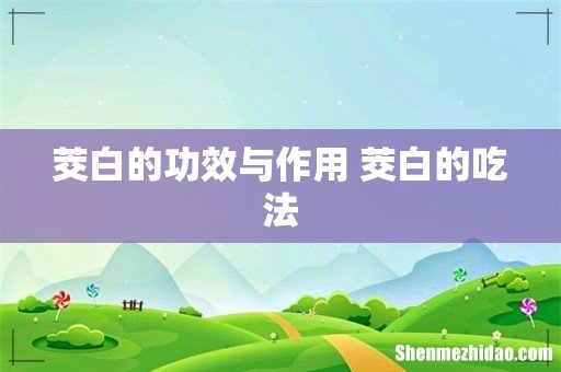 茭白的功效与作用 茭白的吃法