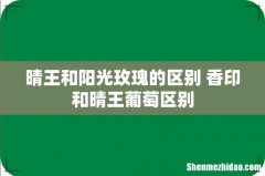 晴王和阳光玫瑰的区别 香印和晴王葡萄区别