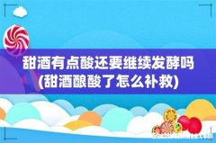 甜酒酿酸了怎么补救 甜酒有点酸还要继续发酵吗