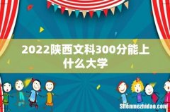 2022陕西文科300分能上什么大学