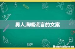 男人满嘴谎言的文案