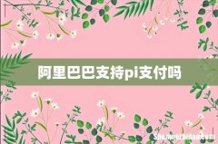 阿里巴巴支持pi支付吗