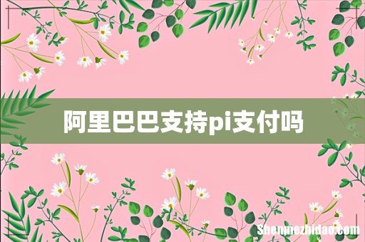 阿里巴巴支持pi支付吗