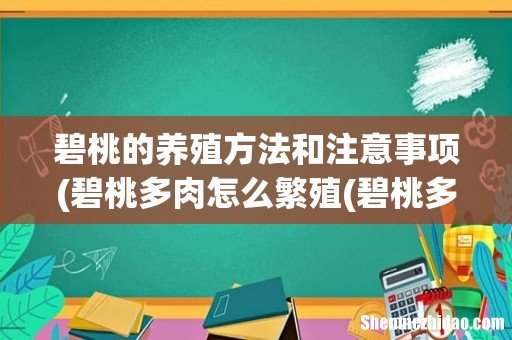 碧桃多肉怎么繁殖(碧桃多肉怎么养 碧桃的养殖方法和注意事项)