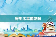 野生木耳能吃吗