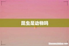 昆虫是动物吗
