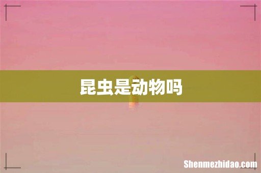 昆虫是动物吗