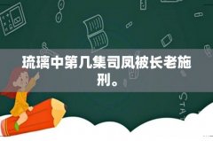 琉璃中第几集司凤被长老施刑。