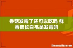 香菇发霉了还可以吃吗 鲜香菇长白毛是发霉吗