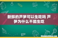 新鲜的芦笋可以生吃吗 芦笋为什么不能生吃