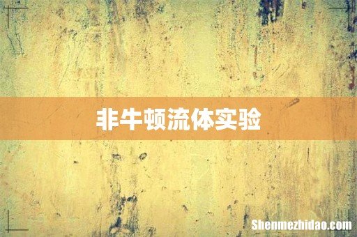 非牛顿流体实验