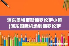 浦东国际机场到佛罗伦萨小镇 奥特莱斯怎么走 浦东奥特莱斯佛罗伦萨小镇