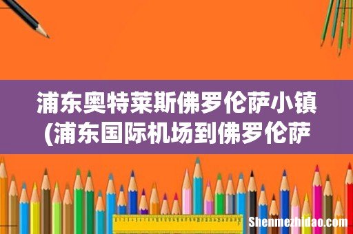 浦东国际机场到佛罗伦萨小镇 奥特莱斯怎么走 浦东奥特莱斯佛罗伦萨小镇