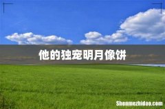 他的独宠明月像饼
