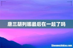唐三胡列娜最后在一起了吗