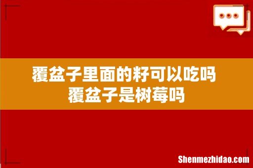 覆盆子里面的籽可以吃吗 覆盆子是树莓吗