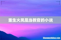 重生火凤凰当教官的小说