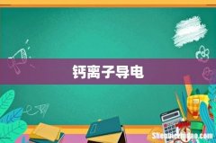钙离子导电