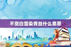 不觉白雪染青丝什么意思