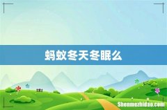蚂蚁冬天冬眠么