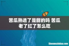 苦瓜熟透了是甜的吗 苦瓜老了红了怎么吃